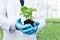 Midsection of male biochemist holding seedling at greenhouse