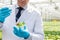 Midsection of male biochemist using pipette on seedling in petri dish at greenhouse