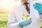 Midsection of male biochemist using pipette on seedling in petri dish at greenhouse