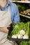 Midsection of man holding basket of green onion in supermarket