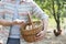 Midsection of mid adult farmer holding eggs in basket at farm