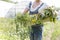 Midsection of mid adult woman holding vegetables in crate at farm