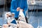 Midsection of a yachtsman checking sail before competition