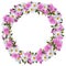 Midsummer wreath of Daisies and Mallows