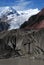Midui Glacier in TIBET