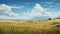 Midwest Grassland: Delicately Rendered Landscape In Andrew Wyeth Style