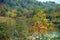 Midwestern autumn scene with colorful trees and a lake