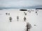 Midwinter field with many lonely oaks, aerial view