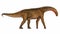 Mierasaurus dinosaur walking peacefully head down - 3D render