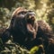 A mighty gorilla roars and shows his fangs.