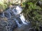 The mighty little waterfall in the woods