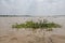 Mighty Mekong river