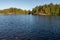 Mighty trees grow along the shores of Valaam Island