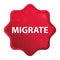 Migrate misty rose red starburst sticker button