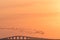 Migrating Brent Geese by a bridge in sunset