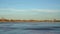 Migrating Canada geese flying over partially frozen lake