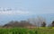 Migrating cranes. Landscape of Hula valley reserve with Hermon mountain in the background