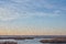 Migrating flock of blackbirds at Cheyenne Bottoms