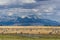 Migrating Greater Sandhill Cranes in Monte Vista, Colorado