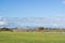 migrating greylag geese