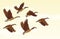 Migratory geese background