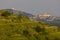 Mikulov castle and vineyard, Southern Moravia, Czech Republic