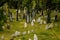 Mikulov, South Moravian Region, Czech Republic, 05 July 2021: Old tombs at historic Jewish Cemetery, Grey and white tombstones