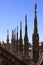 Milan Cathedral (Duomo di Milano) statues details