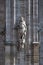 Milan Cathedral statue