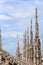 Milan Duomo statues