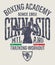 Milan gymnasium boxing academy