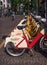 Milan, Italy - 09 May 2018: Yellow BikeMi bicycles for rent in a parking spot