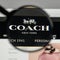 Milan, Italy - August 10, 2017: COACH logo on the website homep