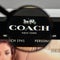 Milan, Italy - August 10, 2017: COACH logo on the website homep