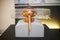 MILAN, ITALY - JUNE 9, 2016: alembic model of Leonardo da Vinci`