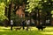 Milan, Italy - May 8, 2020: Three dog walkers with facial mask walking pets in park. Concept of lockdown, flatten the curve,