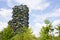 Milan, Lombardy, Italy - MAY, 5, 2024: the Bosco Verticale skyscrapers