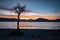 Milarrochy Bay at Sunset, Loch Lomond