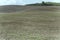 Mild land waves in hilly countryside, near Buonconvento, Siena, Italy