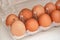 Mildew growing on rotten eggs stored in wet fridge for long time. Mouldy food gone bad