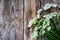 Milfoil Flower on Rustik Wooden Background
