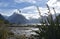 Milford Sound at low tide