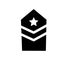 Militar Insignia icon. Trendy Militar Insignia logo concept on w