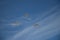 Military airplanes lined up in a row during the Russian military parade on bright blue sky with clouds