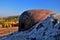 Military bunker in autumn nature