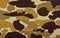 Military camouflage background