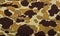 Military camouflage background