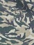 Military camouflage background Pattern
