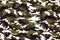 Military camouflage cloth pattern background.