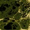 Military camouflage liquid ebru background.